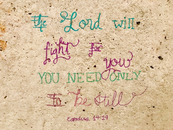 FullSizeRender.jpg-5