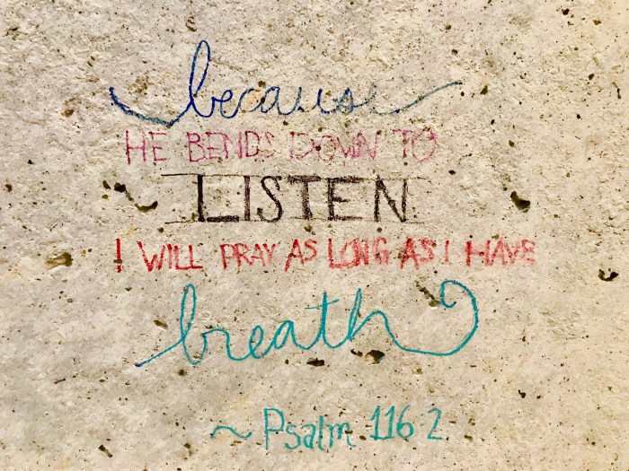 FullSizeRender.jpg-6