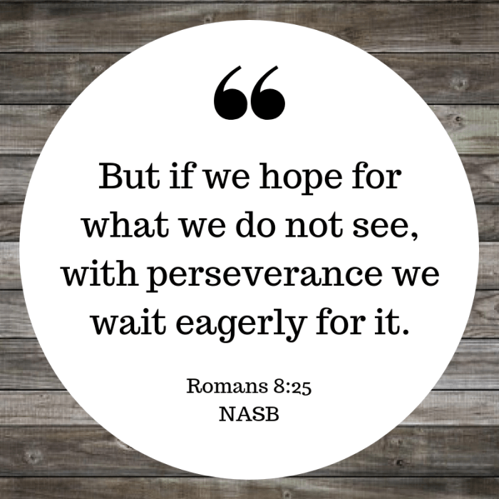 but if we hope for what we do not see, with perseverance we wait eagerly for it.-2